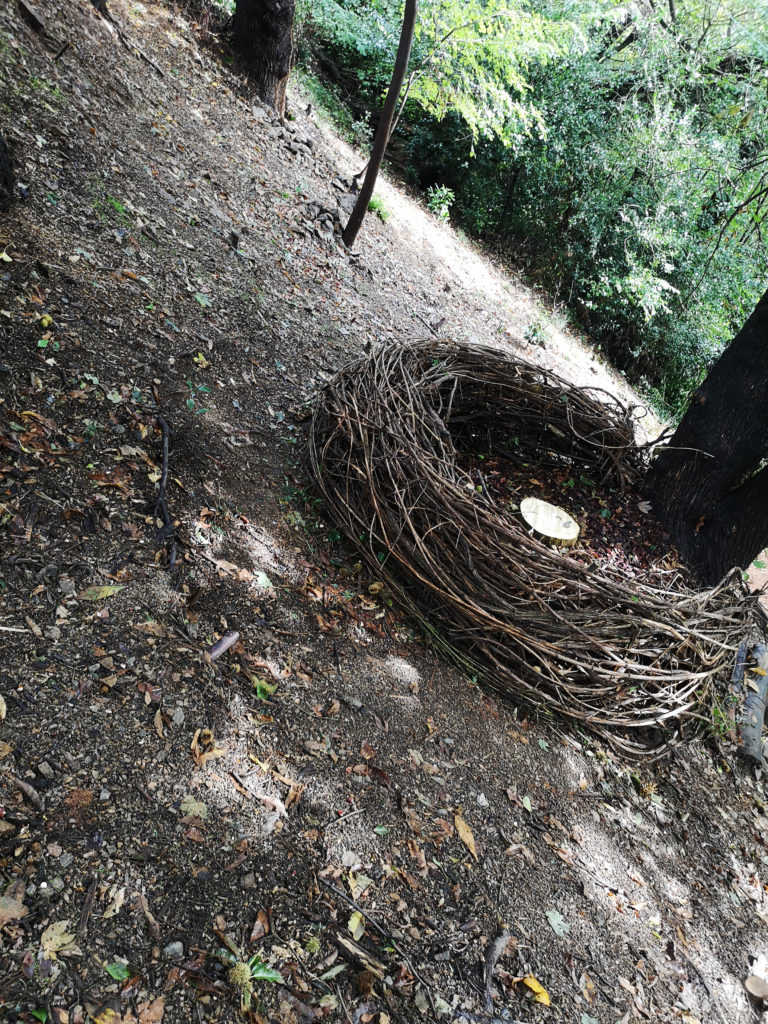 ITINERARY 1 - Mya Lurgo, Nesting. Lianas, bark, golden trunk with acrylic material. October 2020