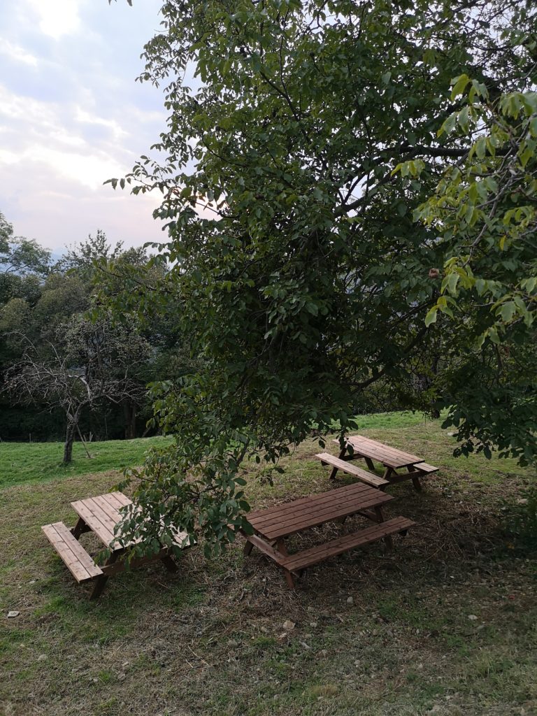 05. Picknick-Bereich