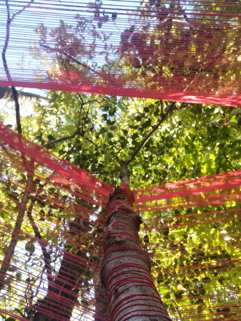 ITINERARY 1 - Natascia Melis Three Trees. Leistung um drei Bäume herum. Weben eines Baumwollfadens, der mit Pflanzenfarben gefärbt ist. Oktober 2020